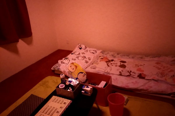 The Definite Guide to Tobita Shinchi Osaka for Foreigners Room