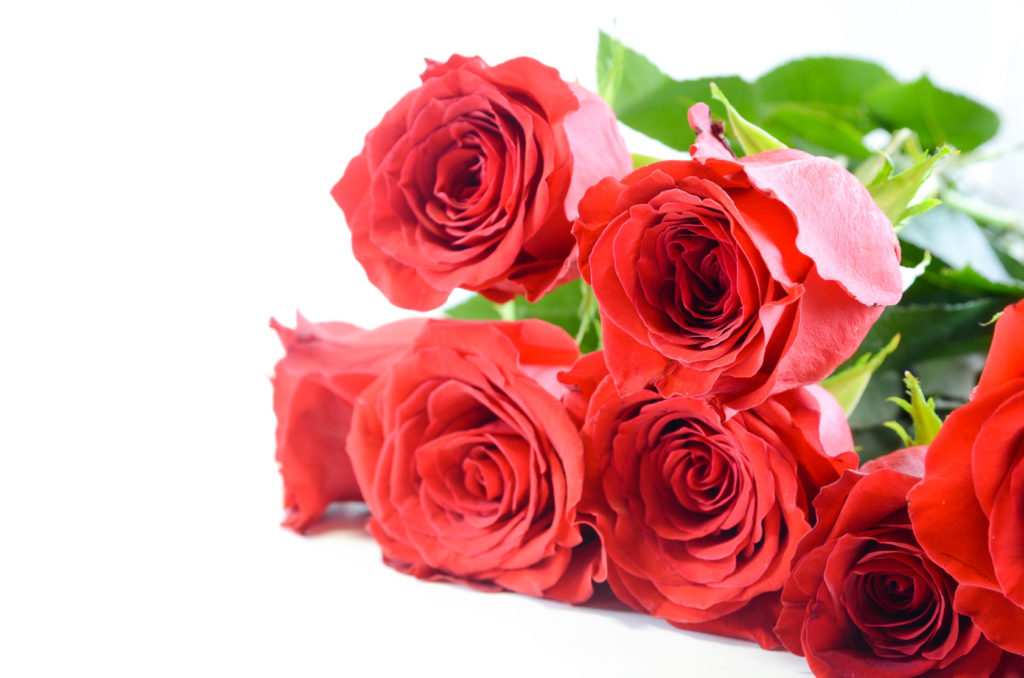 What Newbies Need to Know About Valentine's Day in Japan - Tip